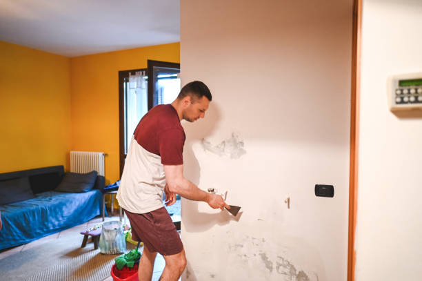 Best Mold Cleaning Services  in Dianapolis, IN